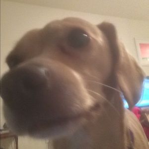 Meet your Posher, Judith