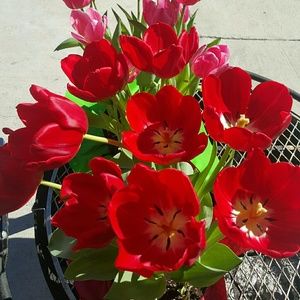 Meet your Posher, Hilda