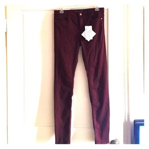 Body Curve Zara Pants