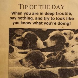 Meet your Posher, Warren