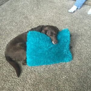 Meet your Posher, Michele