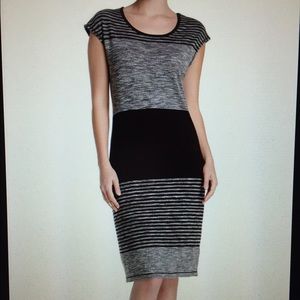 Max Studio Striped Knit Dress