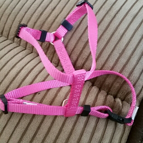 American Kennel Club Dog Harness