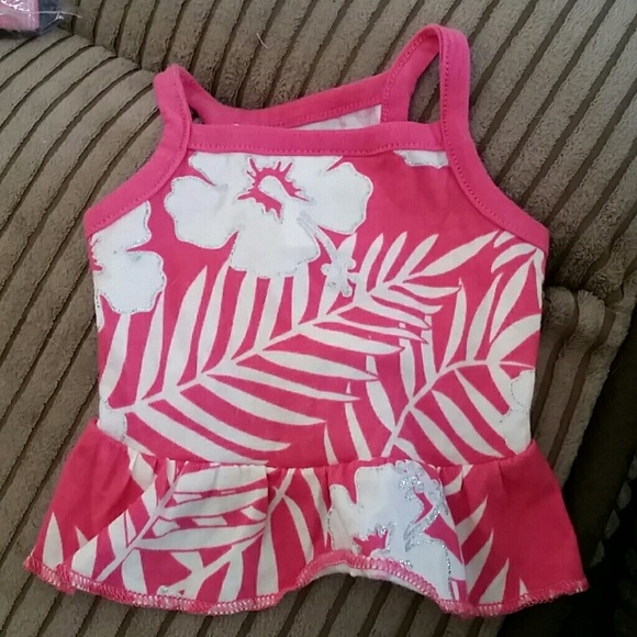 Martha Stewart Dog Dress