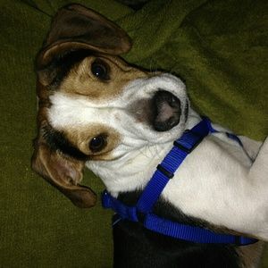 Meet your Posher, Kristi