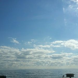 Meet your Posher, Dan