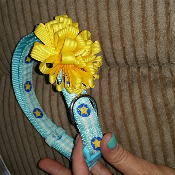 Martha Stewart Dog Collar
