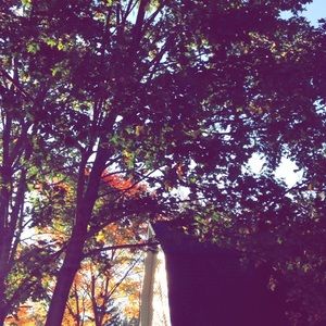 Meet your Posher, Morgan