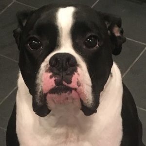 Meet your Posher, Toni