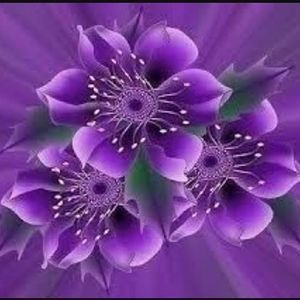 Meet your Posher, Sherese