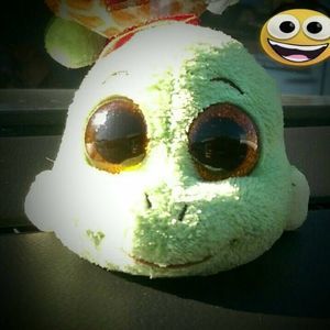 Meet your Posher, Marcos