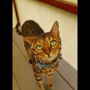 Meet your Posher, Julie