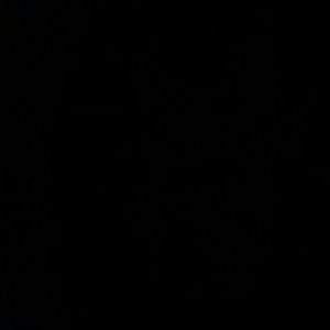 Meet your Posher, Allie