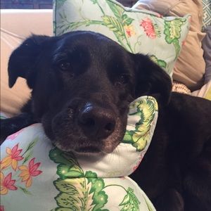 Meet your Posher, Lesley