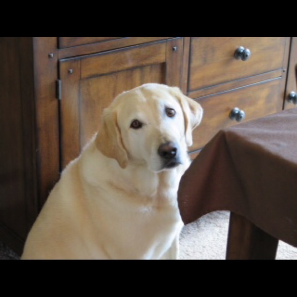 Meet your Posher, Marge - Picture 4 of 4