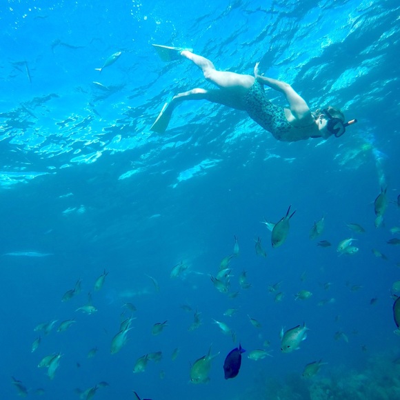 Meet your Posher, Ana - Picture 1 of 1