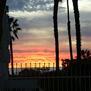 Meet your Posher, Sacha