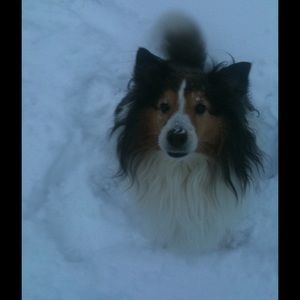 Meet your Posher, Stacey