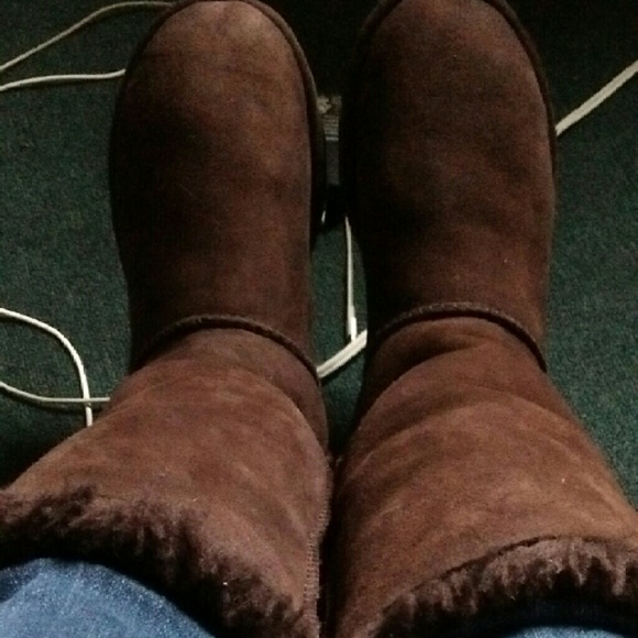 Bailey Bow Uggs Chocolate Tall