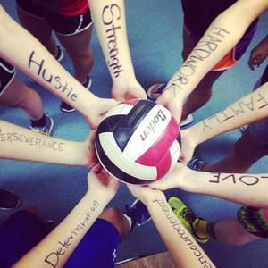 Meet your Posher, Ashleigh