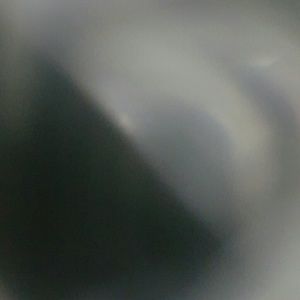 Meet your Posher, Prinny