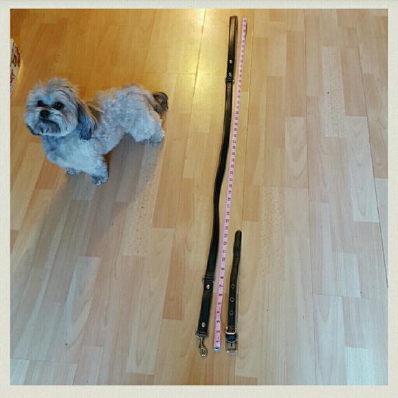 Authentic Coach Dog Leash Set - Picture 3 of 6