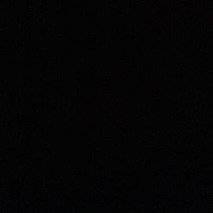 Meet your Posher, Elsa