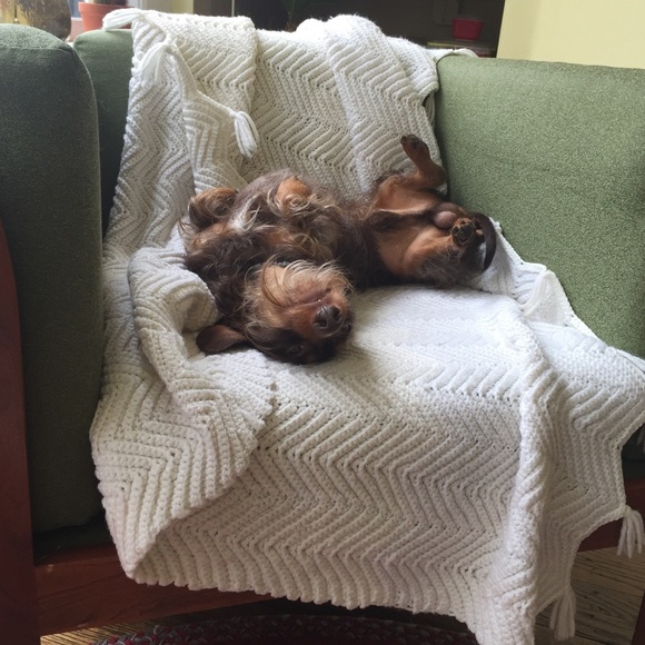 Meet Sarah.... - Picture 4 of 7