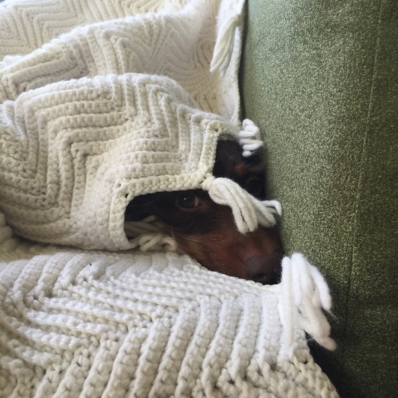 Meet Sarah.... - Picture 5 of 7