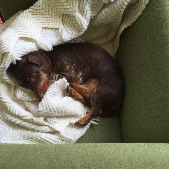 Meet Sarah.... - Picture 6 of 7