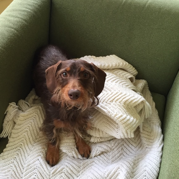 Meet Sarah.... - Picture 7 of 7