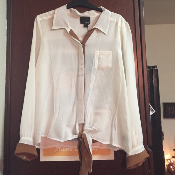 NWT L Greylin waist tie blouse