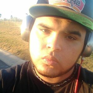 Meet your Posher, Roy