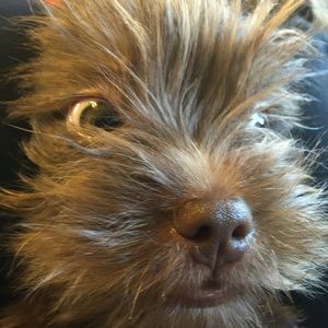 Meet your Posher, Sonya