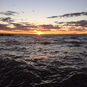 Meet your Posher, Jacie