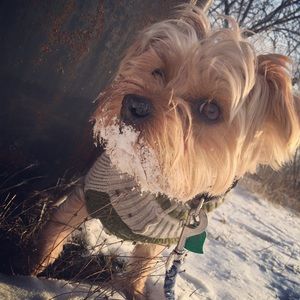 Meet your Posher, Erin