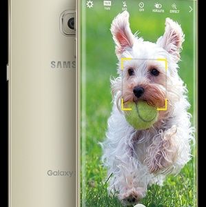 Meet your Posher, Kimberley