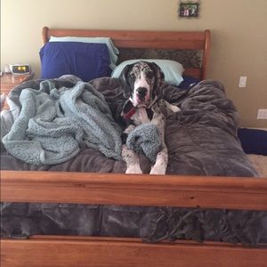 Meet your Posher, Amy