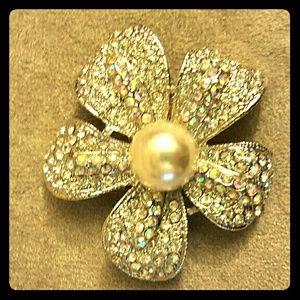 Pin brooch