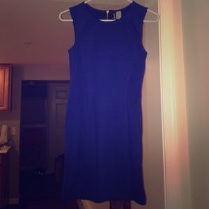 NWT H&M Bodycon Dress