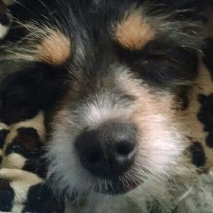 Meet your Posher, Reni