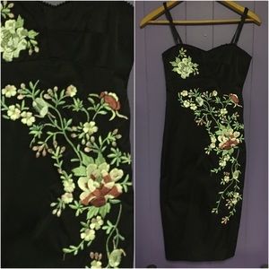 Embroidered form fitting dress