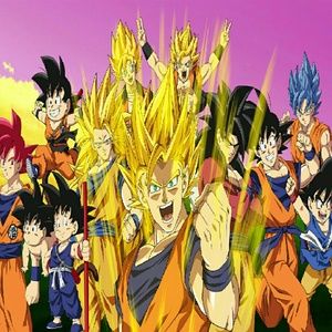 Meet your Posher, Armando