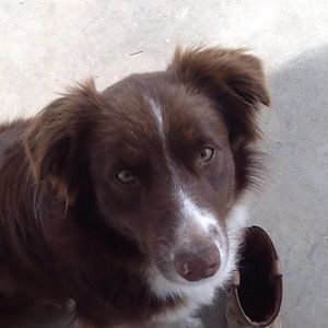 Meet your Posher, Sherrie