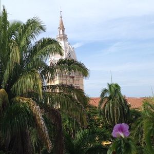 Meet your Posher, Ellen