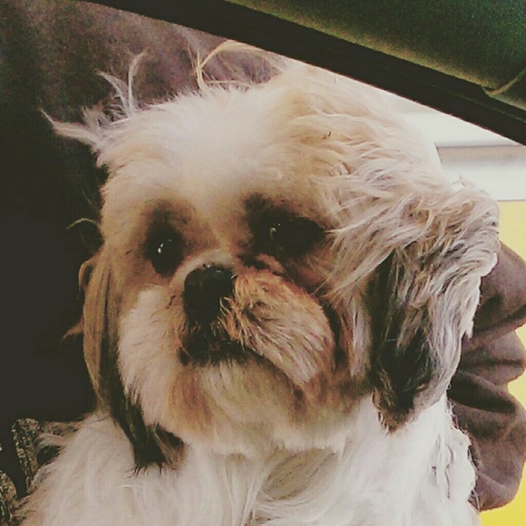 Meet your Posher - Picture 2 of 3