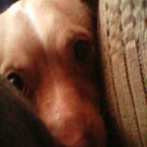 Meet your Posher, Chelsea