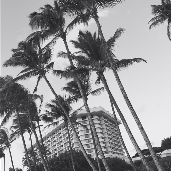 Meet your Posher, Ashlyn