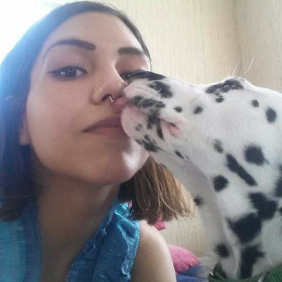 Meet your Posher - Picture 3 of 3