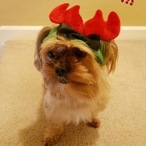 Meet your Posher, Michele